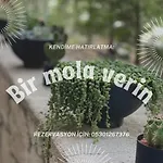 Hotel Cati Boutique *