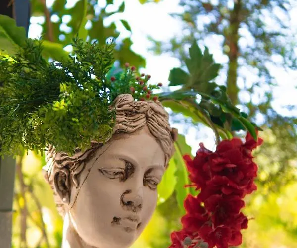 Отель Cati Boutique