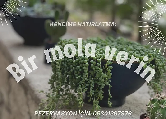 Отель Cati Boutique *