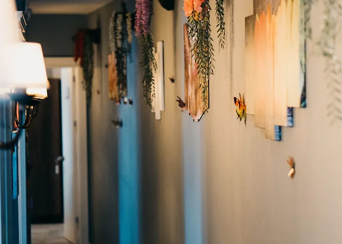 Отель Cati Boutique *